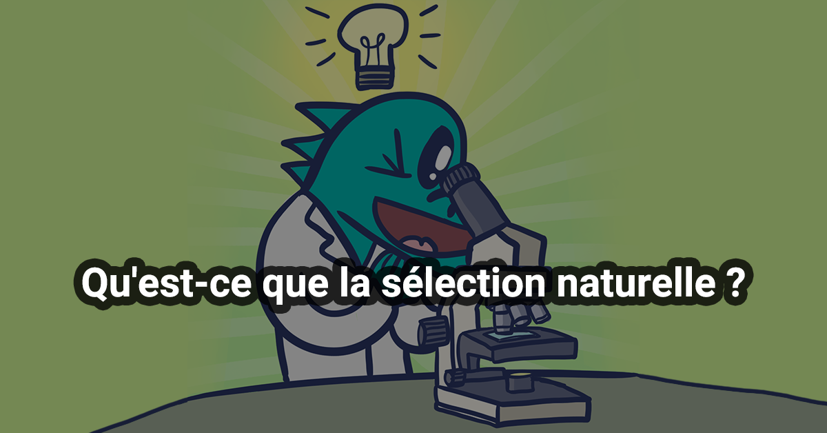 Qu'est-ce que la sélection naturelle ?